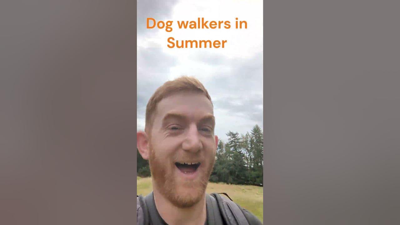 dog-walkers-in-summer-youtube