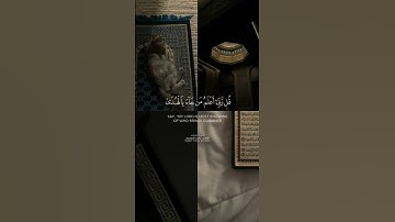 إن الذي فرض عليك القرأن لرادك إلى معاد | سورة القصص | الآية (85) | القارئ ياسر الدوسري
