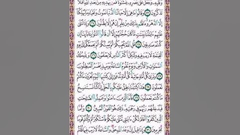 سورة الجاثية /الغامدي /501