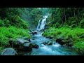 River Sounds for sleeping, Soothing Forest Stream Ambience for deep Sleep and Meditation #river 2
