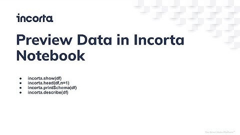 Preview Data in Incorta Notebook