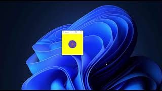 Celebrity CA. Sandpile Net Worth