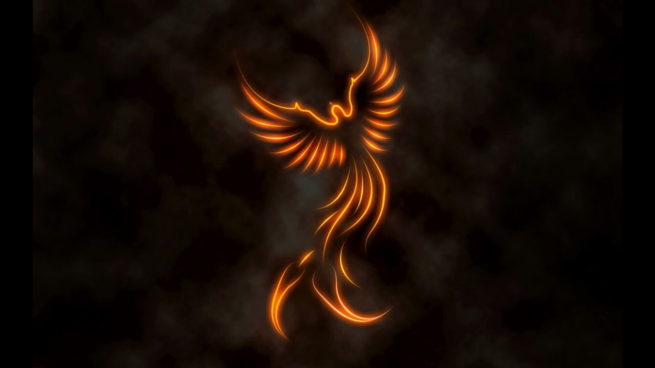 Хои 4+обсуждение(со ScrapTV