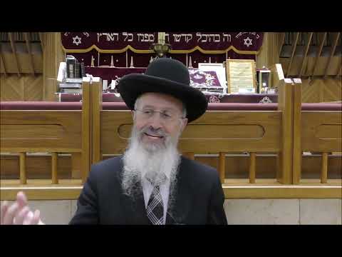 הגאון הרב אברהם יוסף שליט"א כל דבר שאינו ראוי לשום שימוש בשבת, הרי הוא מוקצה מחמת גופו