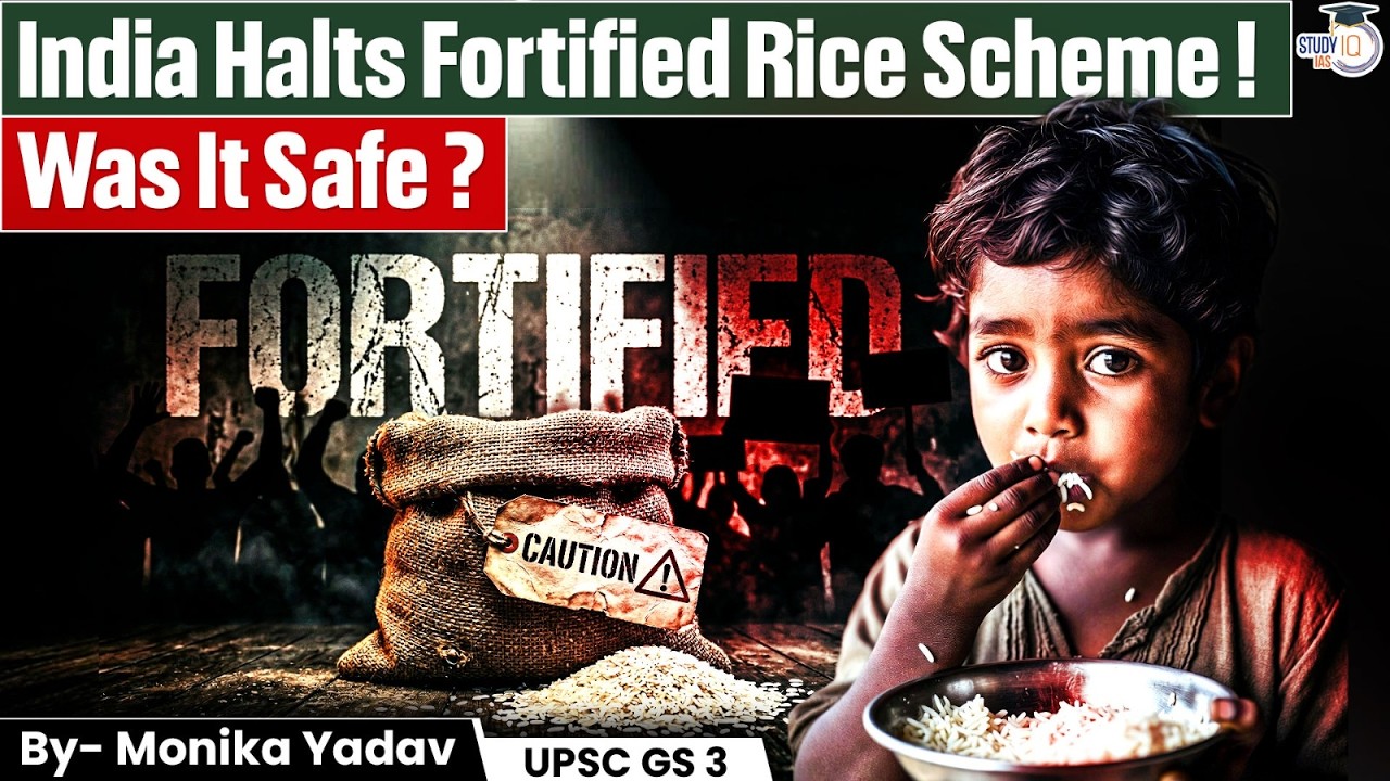 Fortified Rice Scheme: Why Did India Pause the Fortified Rice Program? Was It Really Safe?