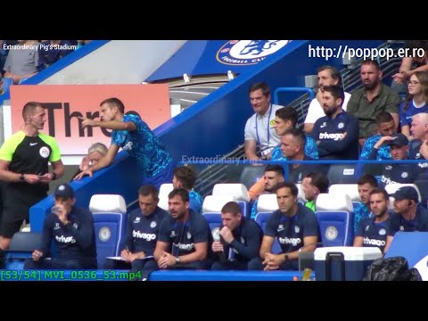 Azpilicueta,Kepa protesting against the assistant referee on the bench 20220903