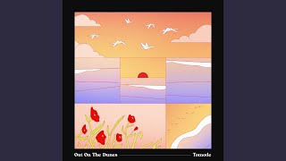 Out On The Dunes - Tomode