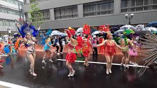 【4K/兵庫散歩】神戸まつり2024 サンバ(Escola De Samba KOBECCO) Walking around Kobe Festival,Samba,Hyogo,Japan,2024
