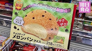 【最新アイス完食】明日2021年5月11日(火)ファミマで新発売！チョコチップメロンパンアイス【ファミリーマート】美味しいのかまずいのか！？詳しい感想は概要欄で