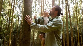 Vitaholz Mehr Wärme Fürs Leben