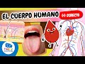🔴DIRECTO |🧠🫀 El Cuerpo Humano para Niños | El Sistema Circulatorio, Aparato locomotor, ¡y más!