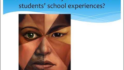 Learner Diversity power point