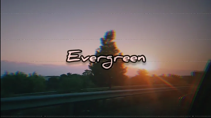 Evergreen - Ewa Hlebowicz