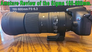 Amateur Review of the Sigma 150-600mm F5-6.3 DG OS HSM Lens on a Canon Rebel T6i. by 737mechanic 643 views 2 months ago 13 minutes, 10 seconds