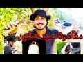 صيد صقور الرحلة الأكثر مغامرة وتشويق