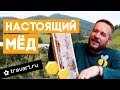 Как отличить настоящий мёд от поддельного