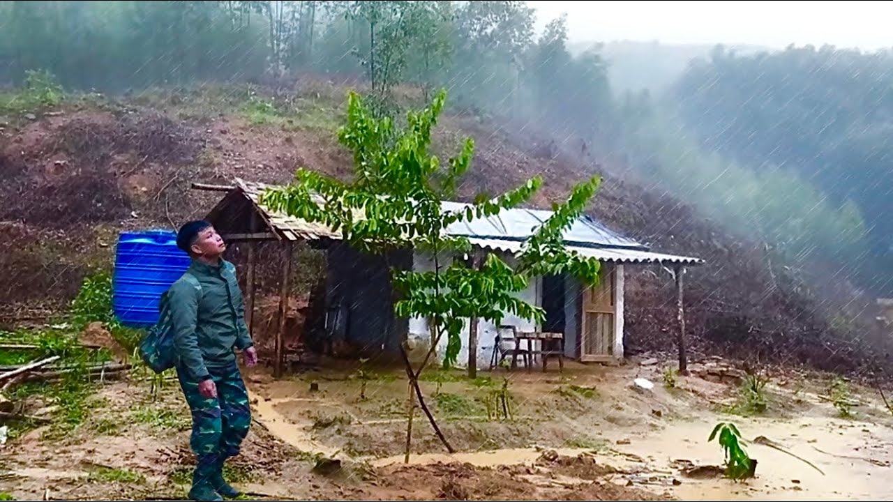 Fuii Video, 5 years of building a life in the forest, growing vegetables, building a house