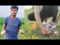 Egg🥚 Vs Sutli Bomb Testing@desidhamaka20 