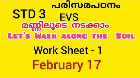 #class3evs #std3evs KITE VICTERS STD 3 Environment Studies Work Sheet February 17