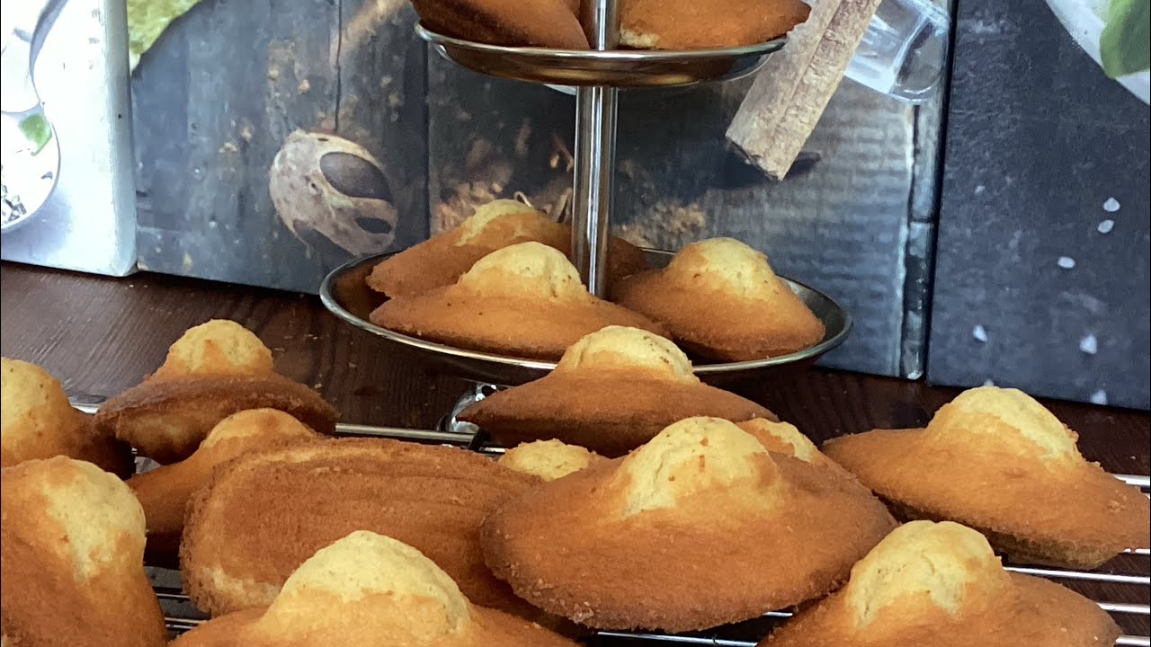مادلين بنكهة الفانيليا madeleines à la vanille #