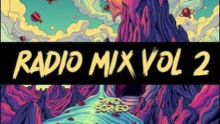 PANCA BORNEO RADIO MIX VOL 2
