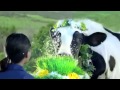 Quảng Cáo Vinamilk 2013 