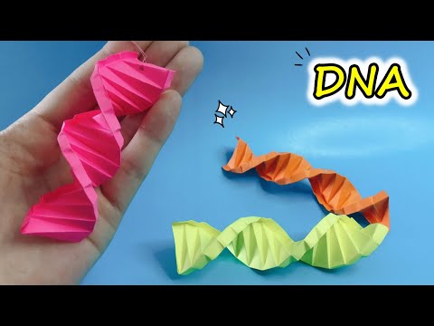 Video Hướng dẫn cách gấp DNA bằng giấy l How to make a paper... - youtube