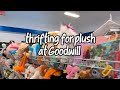 Thrifting for Plushies at Goodwill! 