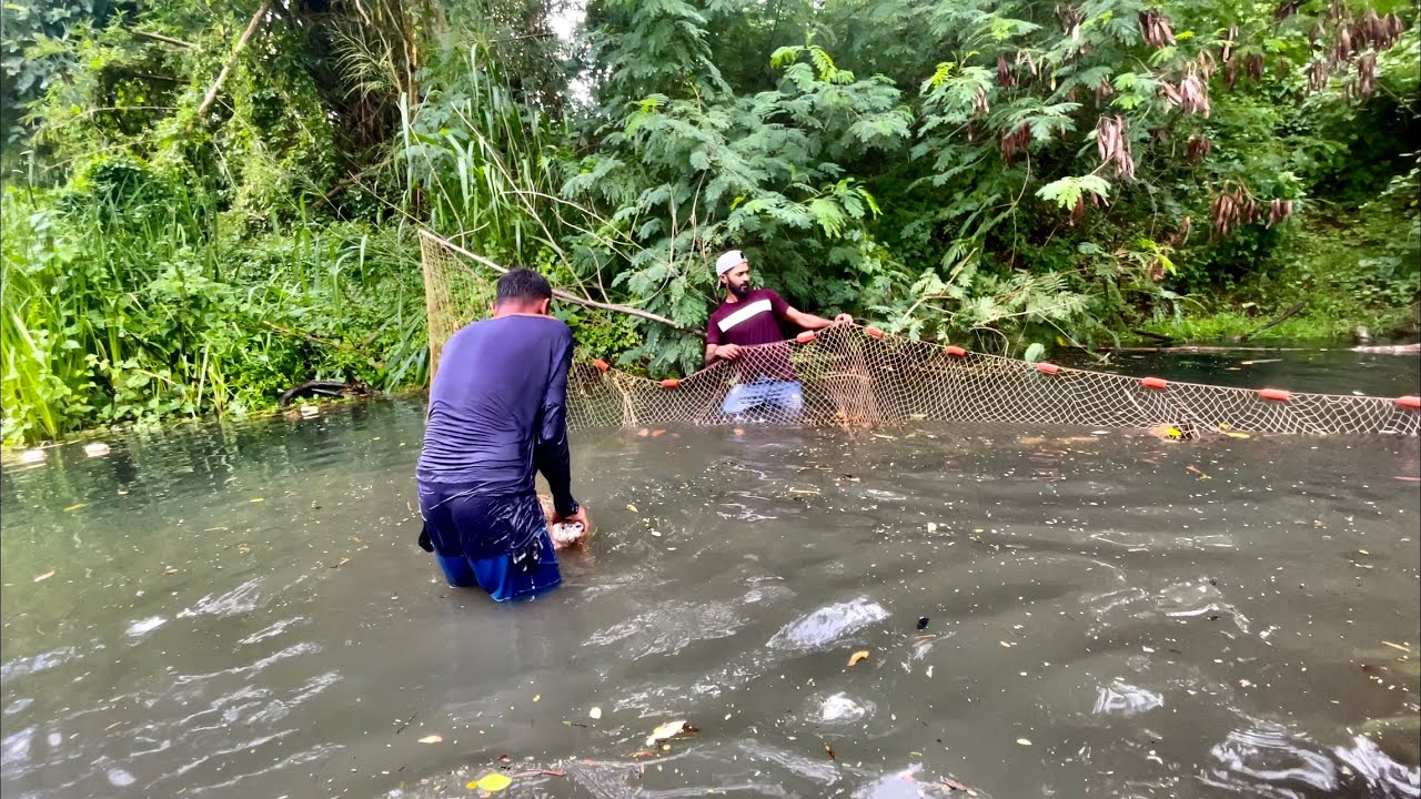Amazing!!! Net fish catching Sri Lankan 🇱🇰 fishing