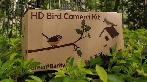 WiFi vs Wireless Bird Box Camera