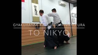 Aikido kaishiwaza screenshot 5