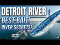 The Only Bait You Need for Detroit River Walleye (Early Spring)