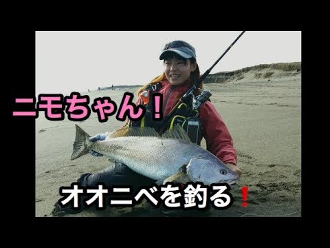 釣って食べたい オオニベ とは その味や食べ方 釣り方まで徹底解説 暮らし の