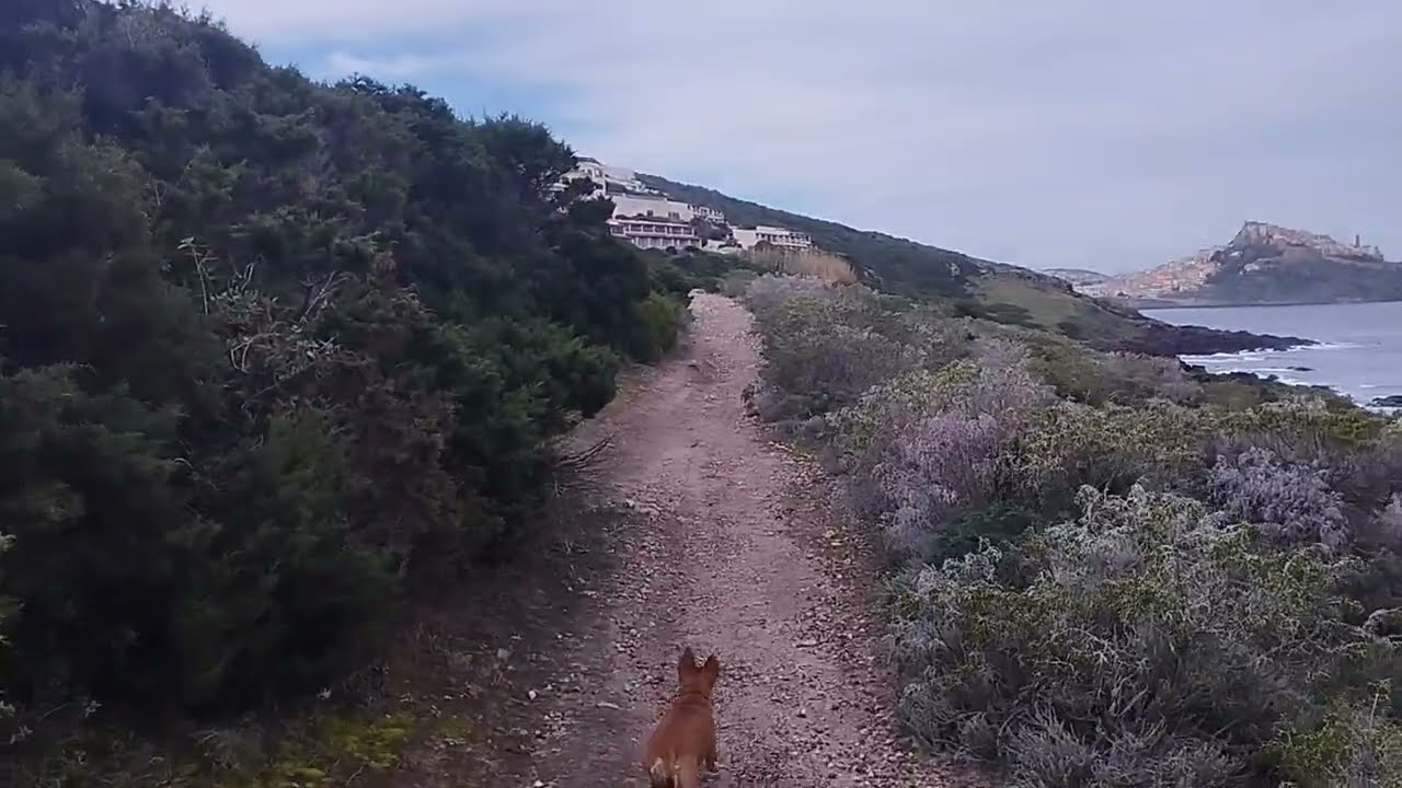 In cammino verso Cala Ostina