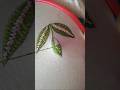 leaf embroidery designs work for beginners step by step tutorial #shortvideo #embroiderylover