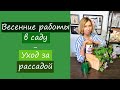 Весенние работы в саду в апреле и уход за рассадой