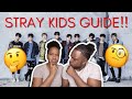 A HELPFUL GUIDE TO STRAY KIDS REACTION