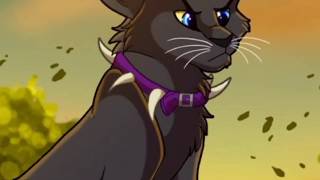 Scourge