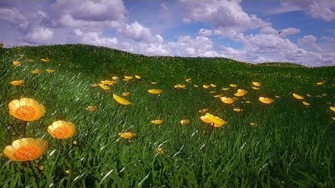 Blender Tutorial - Buttercup Meadows Follow-Along