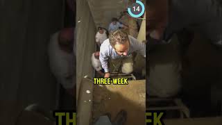 The Most Unbelievable Prison Escapes Ever Attempted shorts