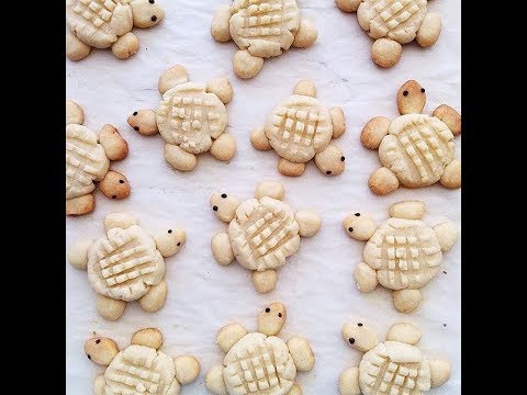 TURTLE COOKIES! || Easy Recipe For Families ||