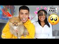 SURPRISING MY GIRLFRIEND WITH A NEW PUPPY! *EMOTIONAL*