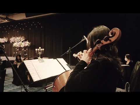 클래식웨딩 피아노4중주 피로연연주 Once Upon A Dream .. Walt Disney's Sleeping Beauty ost
