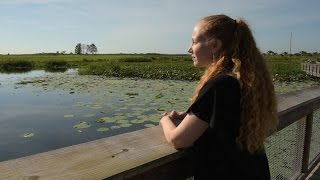 University of Florida Research Landscapes: Sara N. Burke, Ph.D.