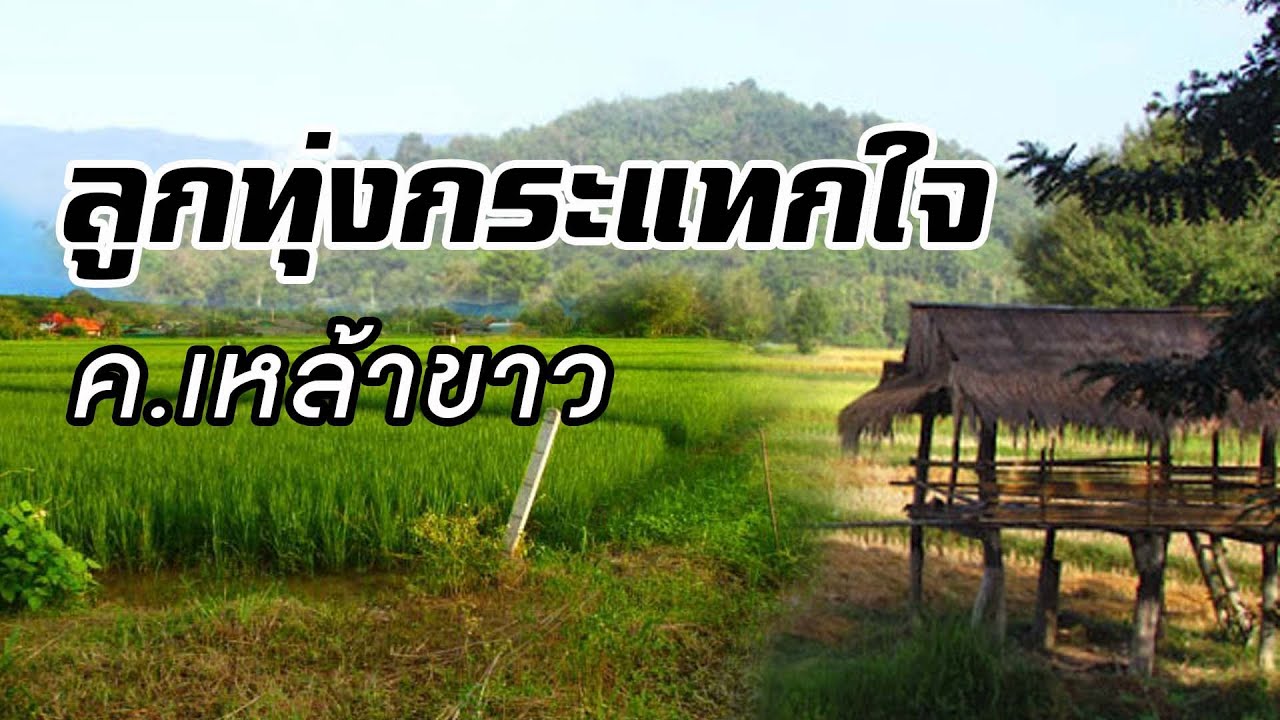 ลูกทุ่งเพราะ ฟังกระแทกใจ