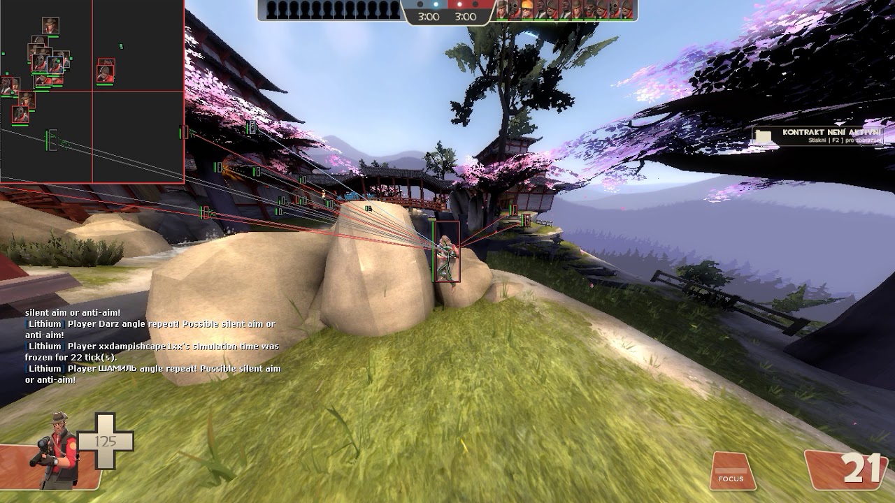 Team Fortress 2 rage/legit hacking