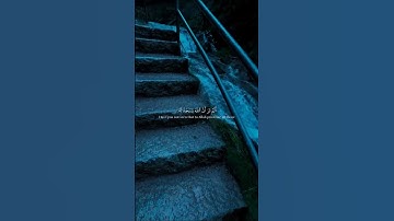 أَلَمْ تَرَ أَنَّ اللَّهَ يَسْجُدُ لَهُ مَنْ فِي السَّمَاوَاتِ وَمَنْ فِي الْأَرْض - سورة الحج