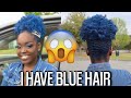 I COLORED MY NATURAL HAIR BLUE NO BLEACH OR DAMAGE Ft Miss Jessies I COLORED MY NATURAL HAIR BLUE NO BLEACH OR DAMAGE Ft Miss Jessies