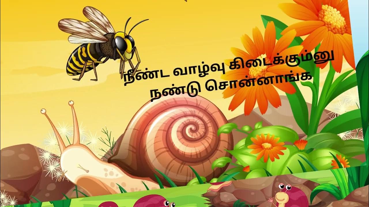 நத்தை யாரே நத்தை யாரே... Snail 226... Infocus Entertainment Tamil