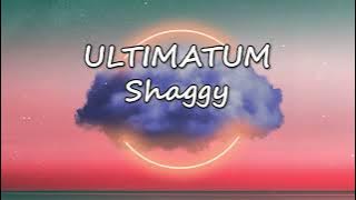 Shaggy - Ultimatum ft. Natasha Watkins